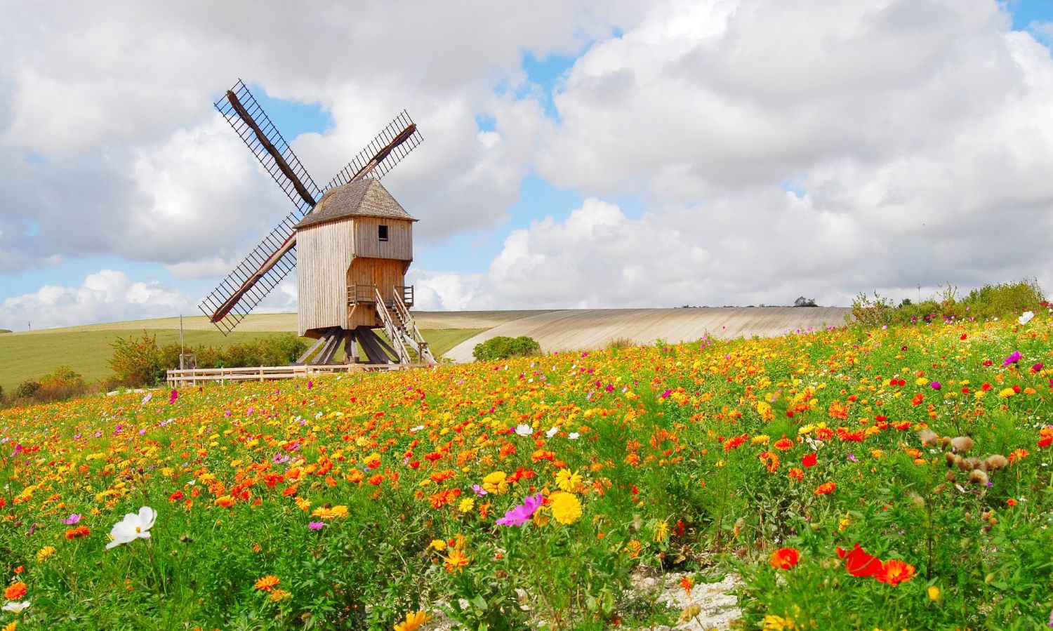 Le lac de la forêt d'Orient.