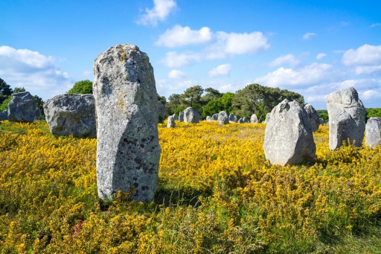 Menhirs de Carnac