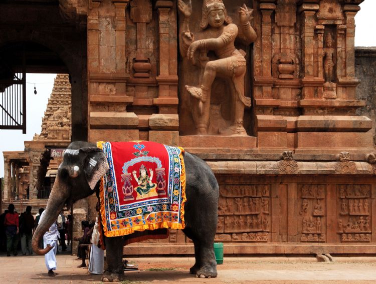 Temple Brihadesvara à Tanjore
