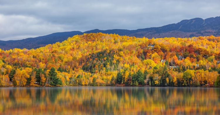 Rivière Saint-Maurice au Québec