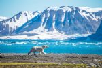 Croisière en Norvège