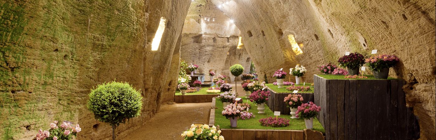 Journées de la Rose à Doué-la-Fontaine