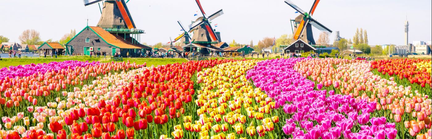 Moulins à vent traditionnels à Zaanse Schans